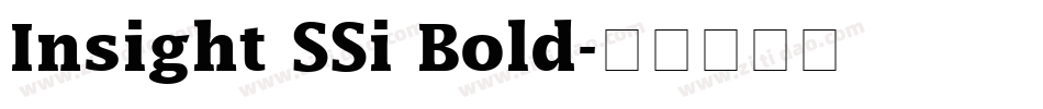Insight SSi Bold字体转换